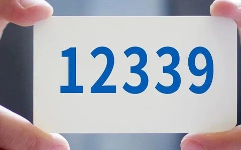 12339的“正确打开方式”