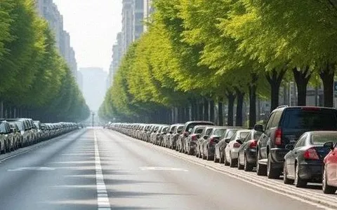 路边停车免费！一地明确